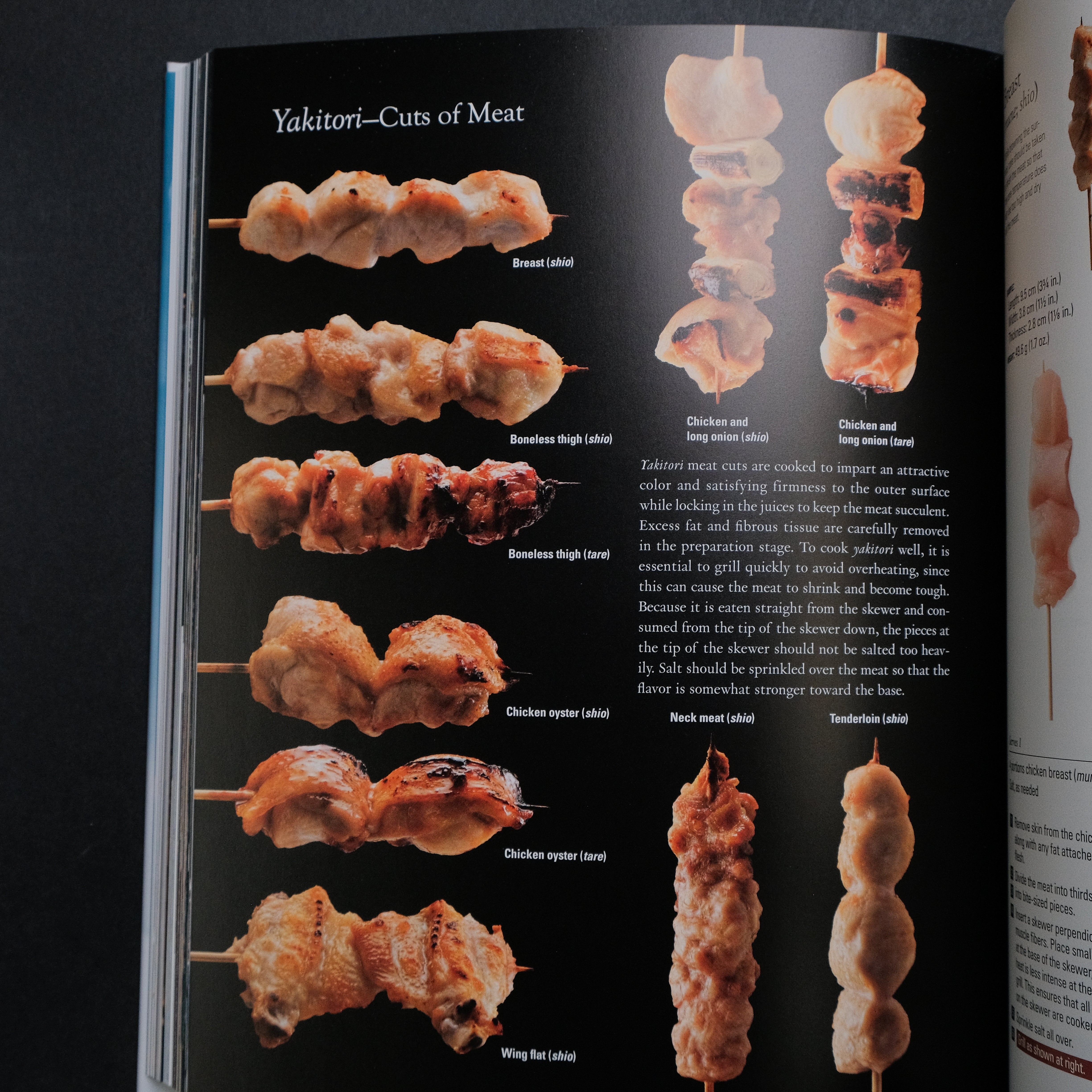 Japanese Culinary Academy YAKIBA: Master Grilling Techniques - Shio Yaki, Furishio Yaki, Yuan Yaki, Tare Yaki & Yakitori | Authentic Japanese BBQ Guide for Home Chefs & Food Enthusiasts | Perfect for Dinner Parties, Outdoor Cooking & Asian Cuisine Lovers