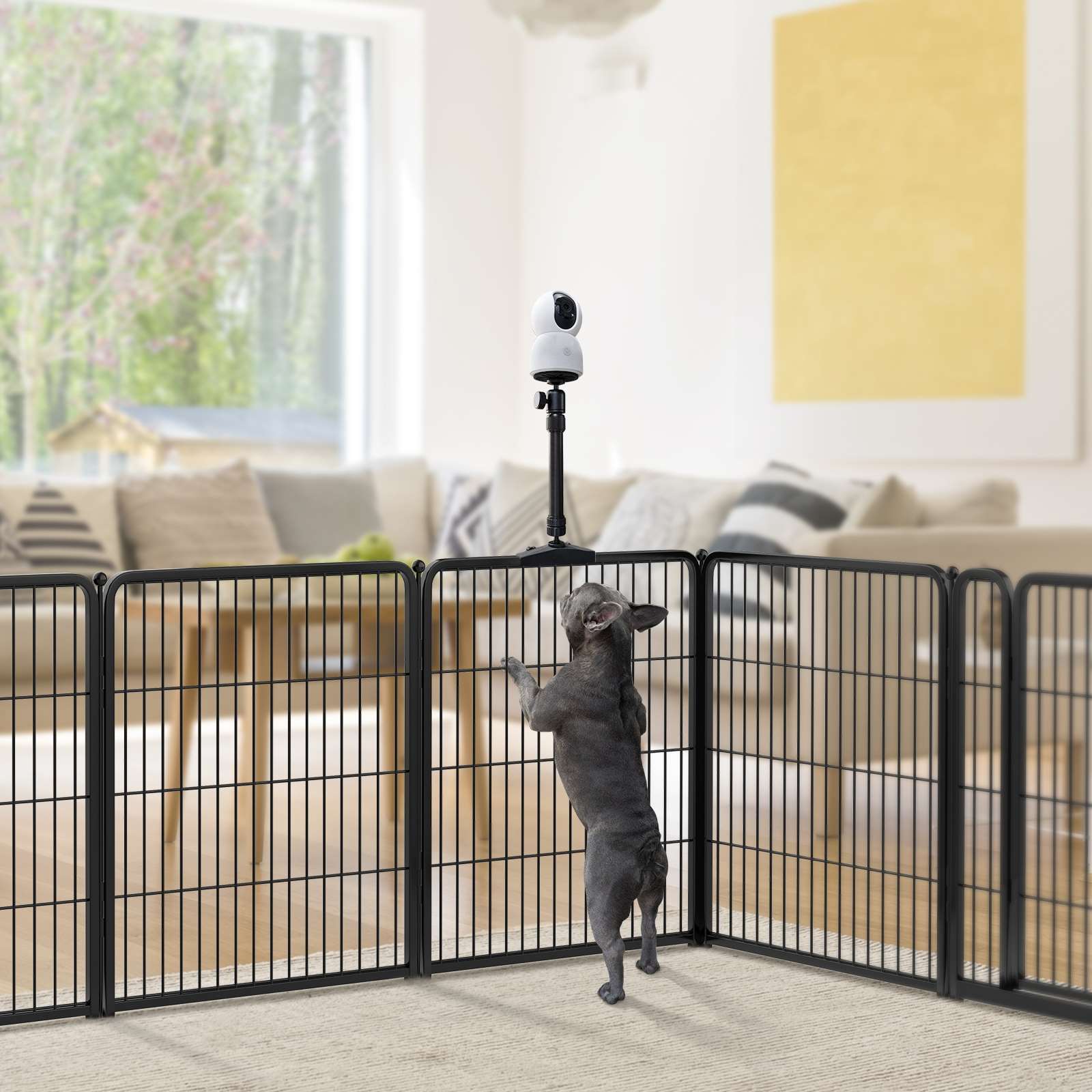 FXW Playpen Dog Camera Mount - Secure & Adjustable Pet Monitoring for Indoor/Outdoor Use - Perfect for Watching Your Dogs While Working or Traveling