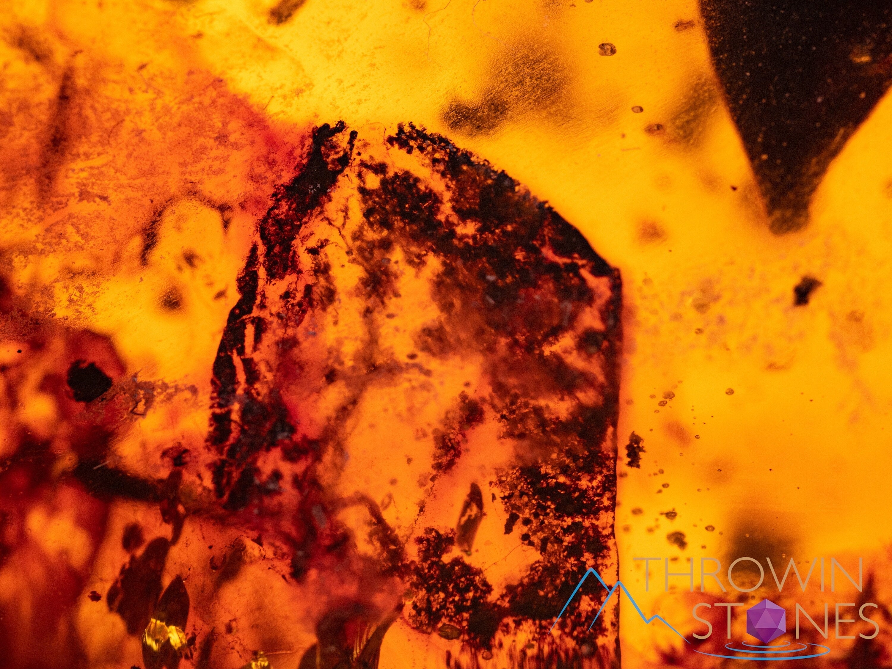 Natural Amber Stone with Insect Inclusion - Genuine Fossilized Tumbled Crystals for Healing & Collection | Perfect for Jewelry Making, Meditation & Home Decor