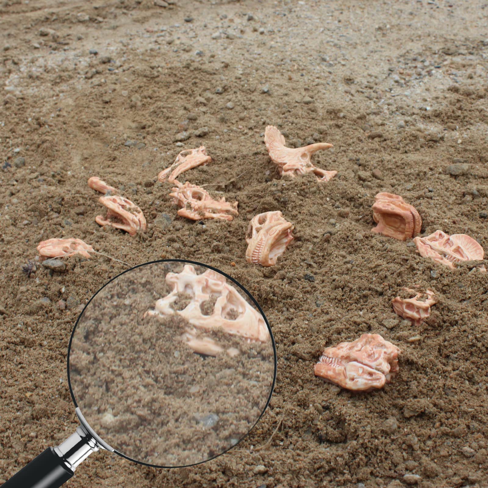LC JoyCre Mini Dinosaur Bones for Kids - Realistic Fake Dinosaur Bones Dig Kit, Educational Sandbox Toys for Children - Perfect for Birthday Gifts, STEM Learning & Outdoor Play Activities