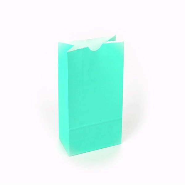 Premium Turquoise Paper Bags - 2 lb Capacity, 4.25