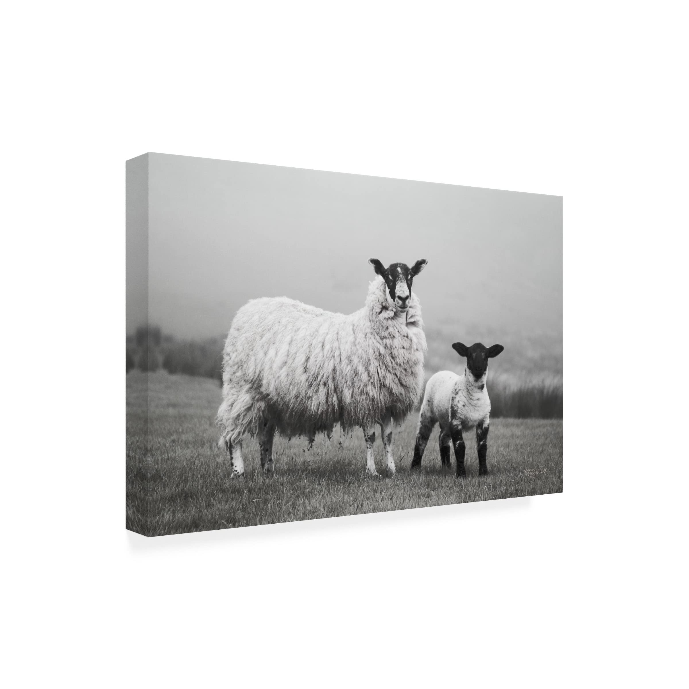 Laura Marshall 'Islay Sheep I' Canvas Wall Art Print - Scottish Highland Landscape Painting for Living Room, Bedroom & Office Decor