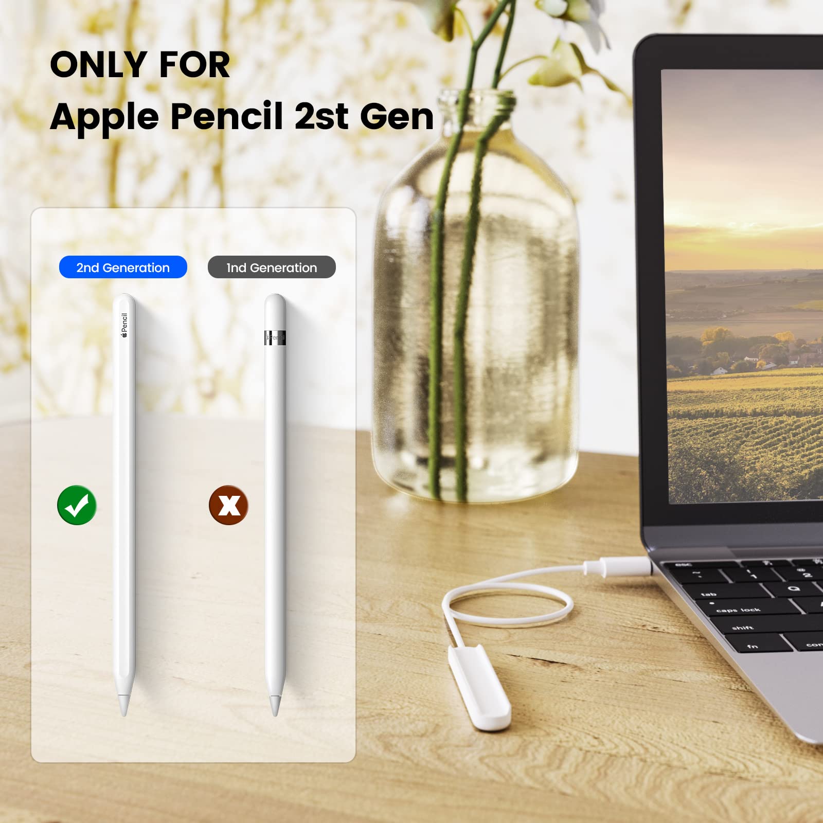 Apple Pencil 2 Charger - Fast Magnetic Charging Cable for iPad Pro | Save Battery Life While Drawing & Note-Taking