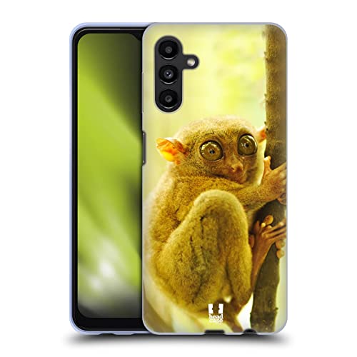 Tarsier Monkey