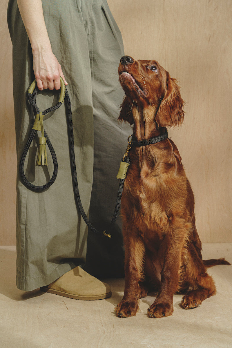 Premium Makarony Dark Rope Dog Leash and Collar Set - Green | Durable & Stylish for Walking, Training, and Outdoor Adventures