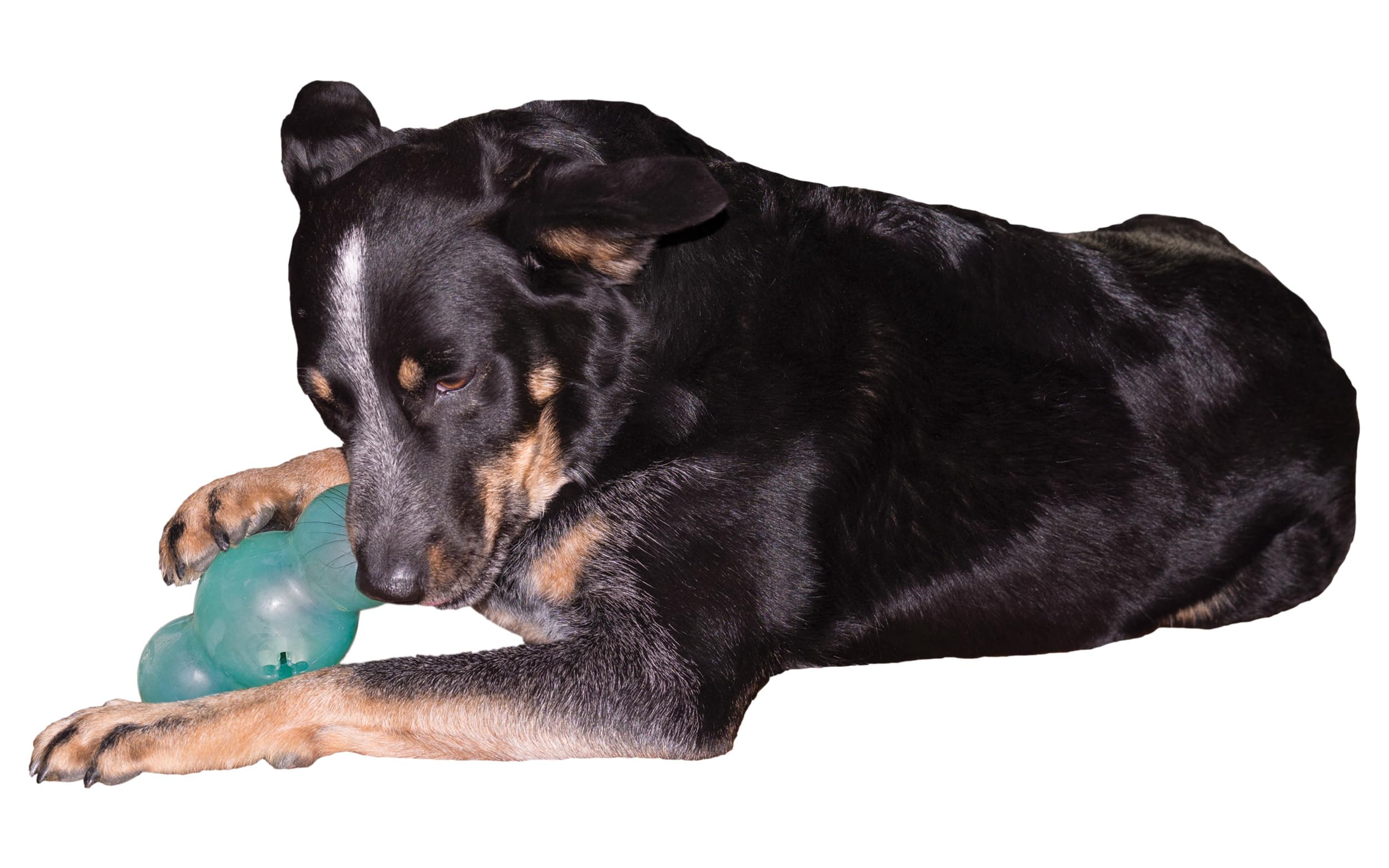Starmark Large Teal Crunching Multiball Dog Toy - Durable Interactive Chew Toy for Medium to Large Dogs, Perfect for Playtime & Dental Health