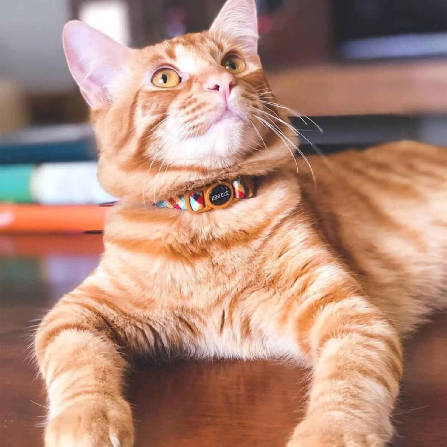 Phantom Cat Collar by Zee.Dog - Adjustable & Reflective Pet Safety Collar for Indoor & Outdoor Adventures