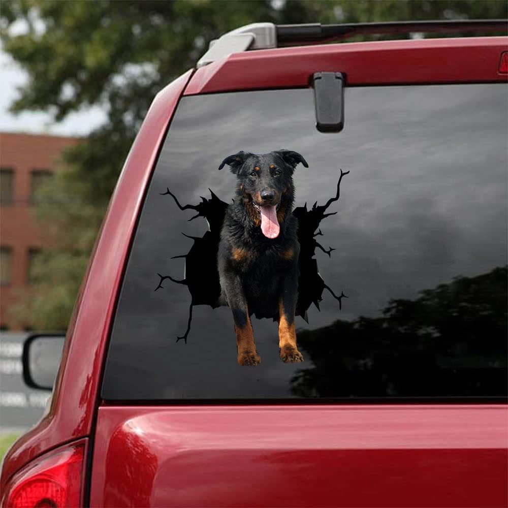 Beauceron Dog Crack Car Sticker - Funny Broken Glass Vinyl Decal for Car Window or Bumper - Perfect Gift for Dog Lovers & Beauceron Owners - Great for Cars, Trucks, Laptops & Water Bottles