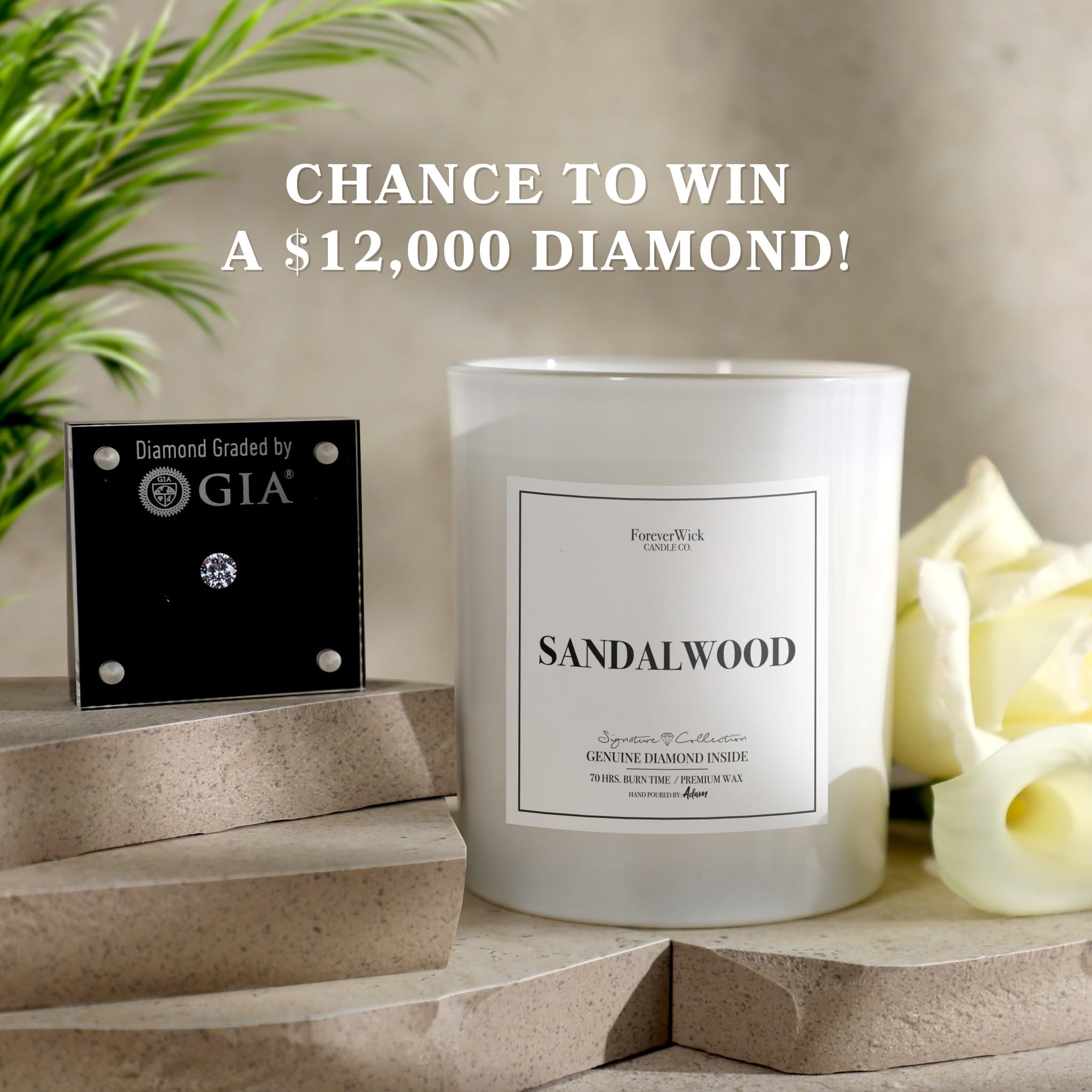Foreverwick Sandalwood Scented Candle - 14 oz, 70-Hour Burn Time | Aromatherapy Candle for Relaxation, Stress Relief & Home Decor | Perfect Anniversary Gift & Spa Bath Essential | Strong Fragrance for Meditation, Yoga & Bedroom Ambiance
