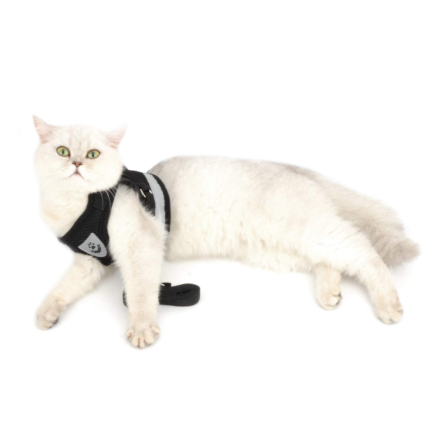 Ranphy Escape Proof Reflective Cat Harness and Leash Set - Adjustable No Pull Soft Mesh Vest for Small Dogs & Cats - Padded Walking Jacket for Puppy, Kitten, Boy & Girl (Black, XS) - Perfect for Training, Outdoor Adventures & Night Walks