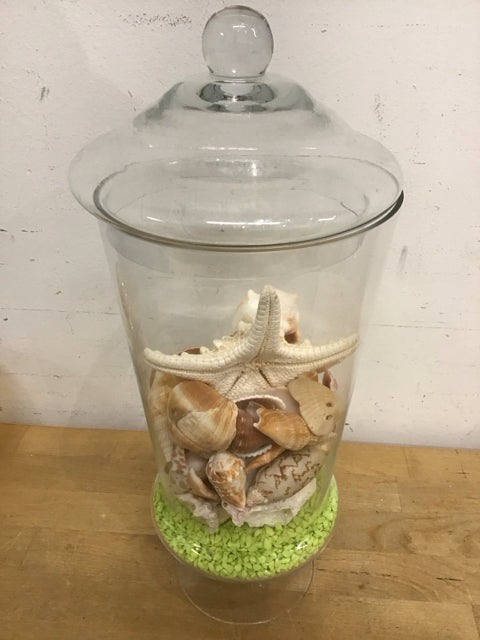 15.5 oz Clear Glass Jar with Seashells - Perfect for DIY Crafts, Wedding Favors, and Home Decor Storage