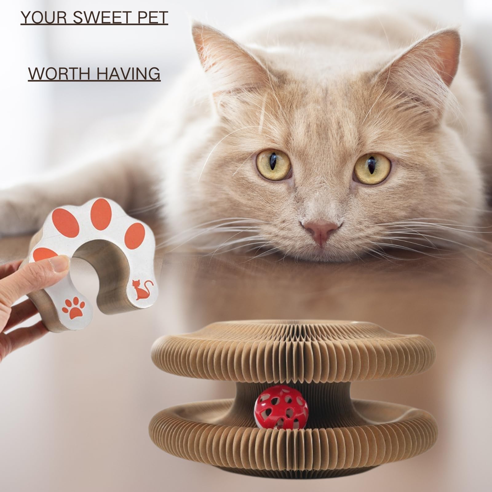 XXL Cat Scratching Board with Bell - Durable Recyclable Cardboard Cat Toy for Interactive Play | Perfect for Indoor Cats, Kittens & Playtime Fun
