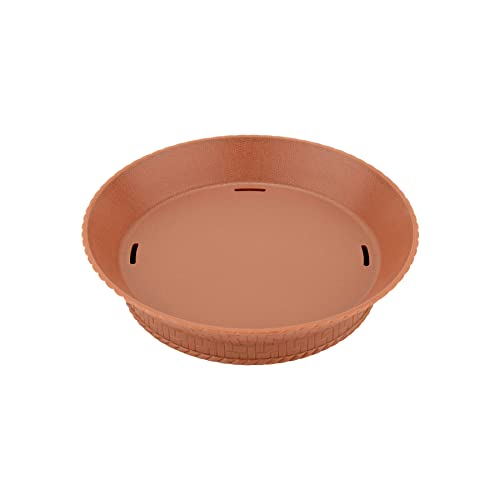 Terra Cotta