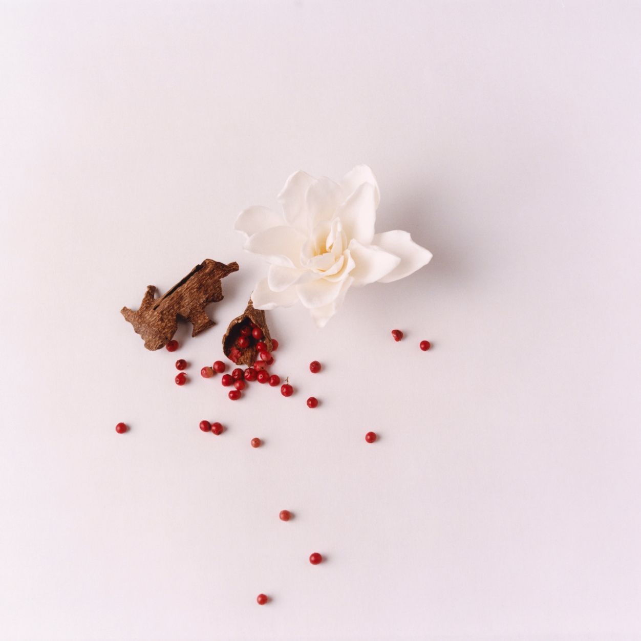 Hera Reigns Eau De Parfum for Women - Long Lasting Floral Fragrance | Perfect for Date Night, Office & Special Occasions