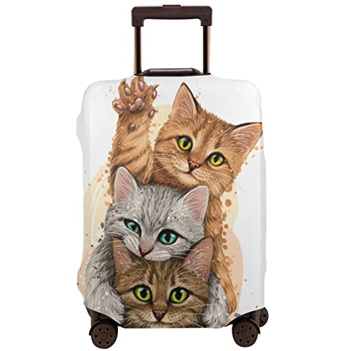 Cute Cats