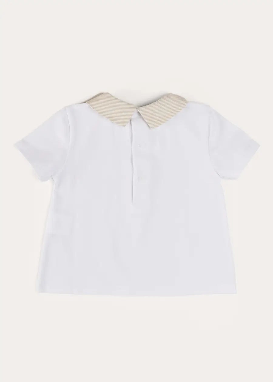 Waterford Striped Polo Collar Short Sleeve T-Shirt for Boys & Girls (12 Months - 4 Years) - Soft Cotton Casual Top for Playdates & Family Outings