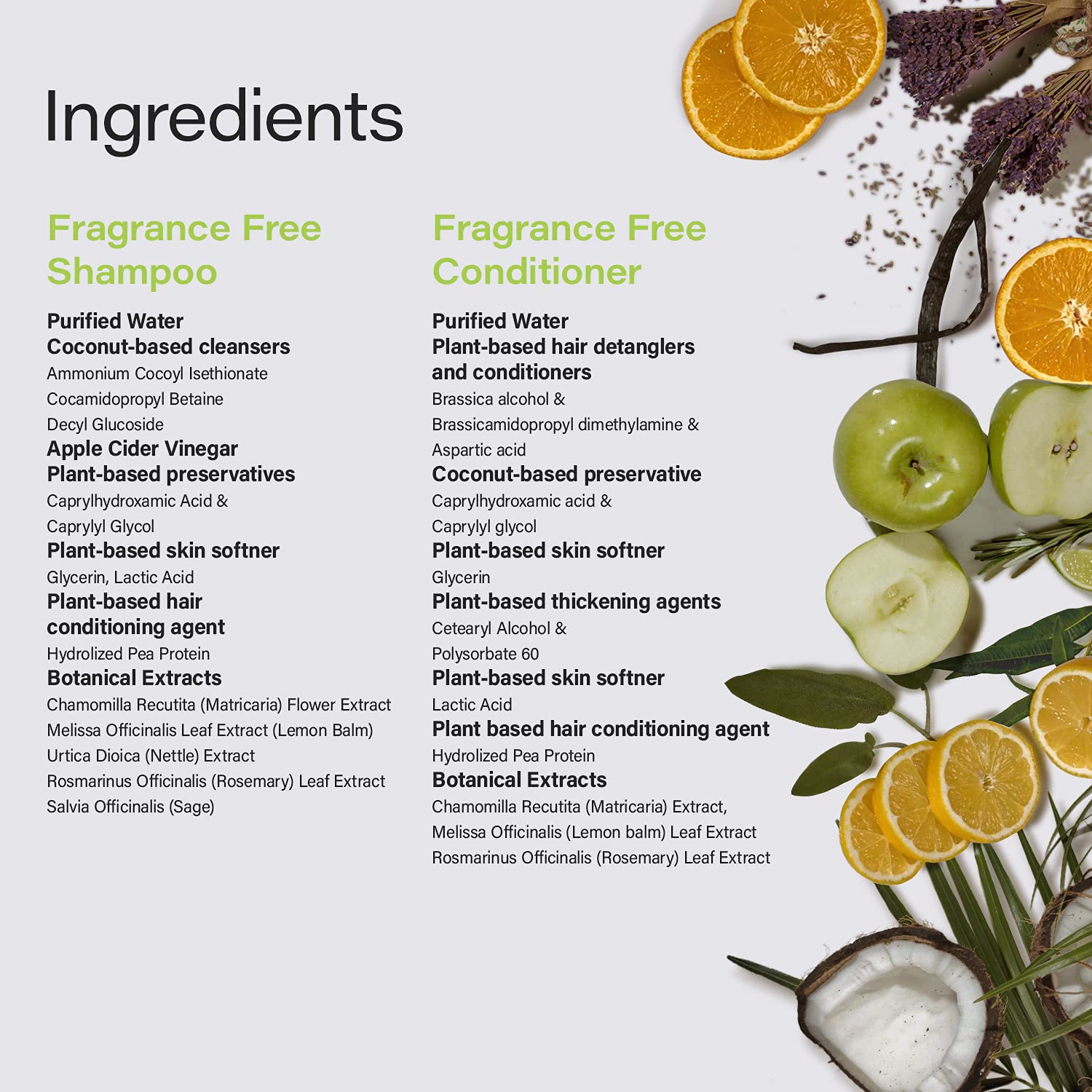 Phillip Adams Fragrance Free Shampoo & Conditioner Set with Apple Cider Vinegar - pH Balanced Formula for Shiny, Smooth Hair - 12oz Each - Perfect for Sensitive Scalp & Color-Treated Hair Care