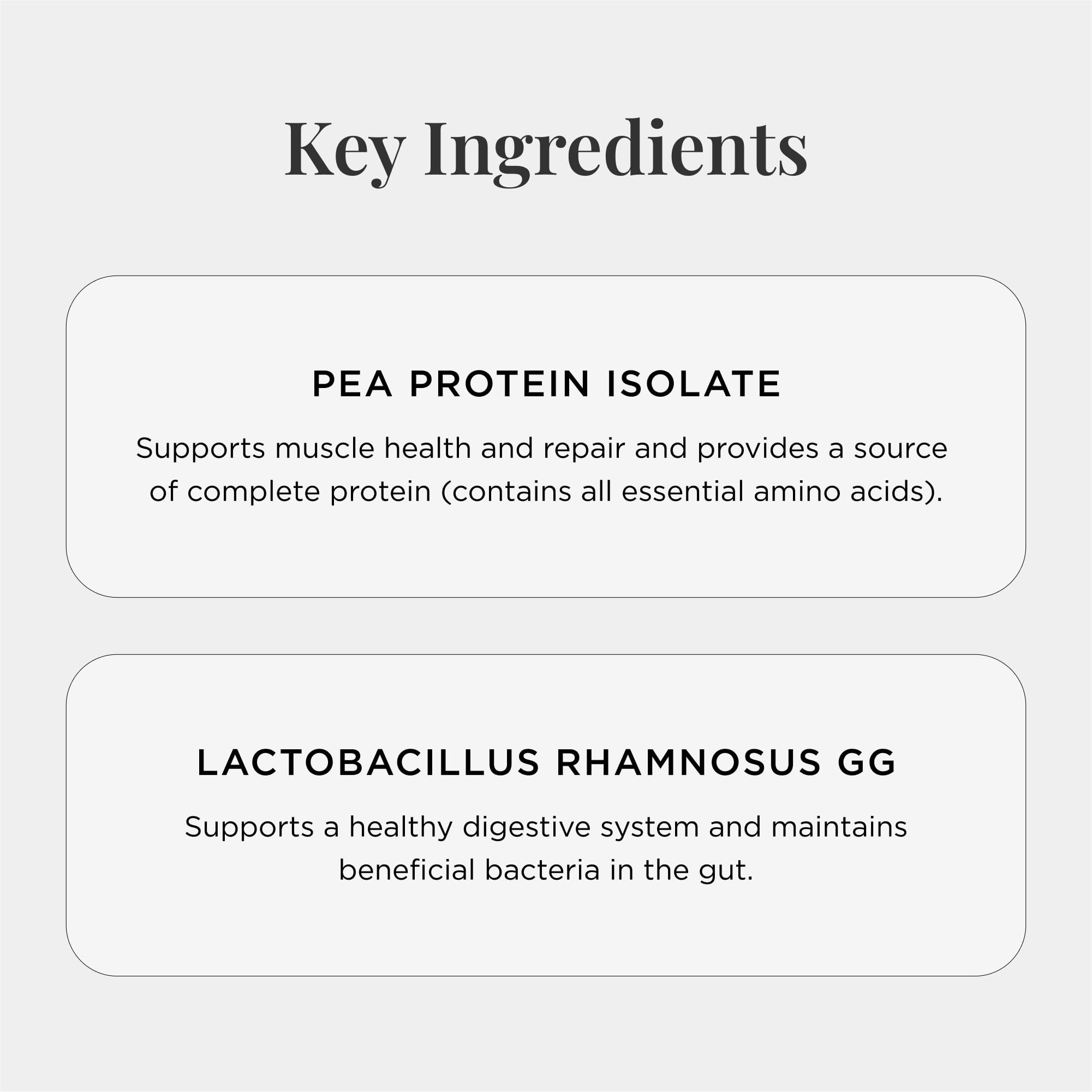 JSHealth Vegan Pea Protein Powder with Probiotics - Chocolate Brownie Flavor | Gluten Free, Non-GMO, Plant-Based Protein Supplement for Smoothies & Shakes | 300g for Muscle Recovery & Weight Management