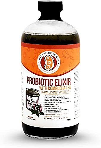 Organic Raw Living Spirulina Probiotic Elixir with Kombucha Tea - 1 Gallon (4 x 32oz) - Immune Support & Gut Health - Perfect for Smoothies, Detox Drinks & Wellness Routines by This Chick Is Raw