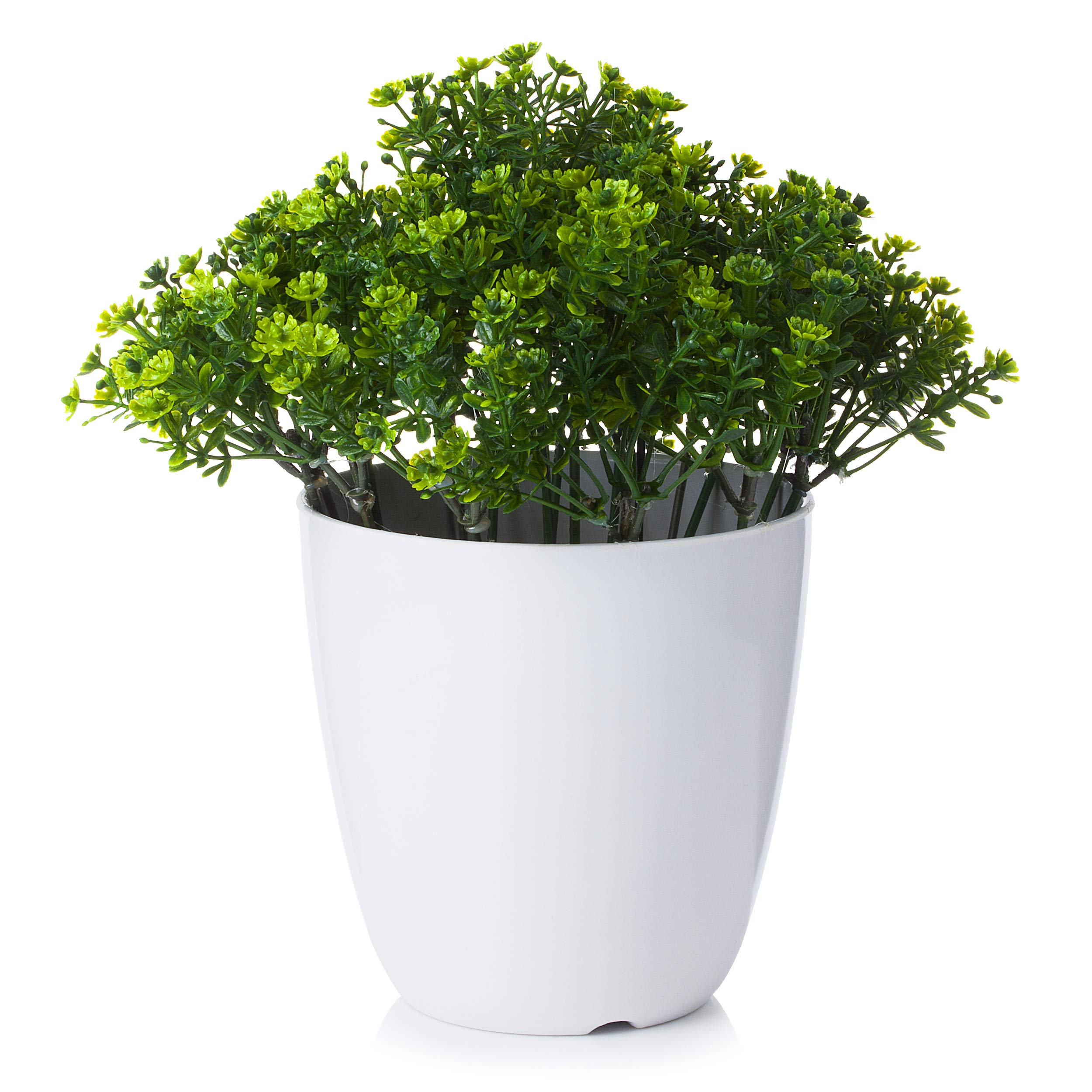 Enova Home 8 Inch Tall Artificial Greenery Plant in White Pot - Fake Potted Plants for Home, Office, Living Room, Bedroom Decor - Low Maintenance Indoor Houseplant for Desk, Tabletop, Shelf Display