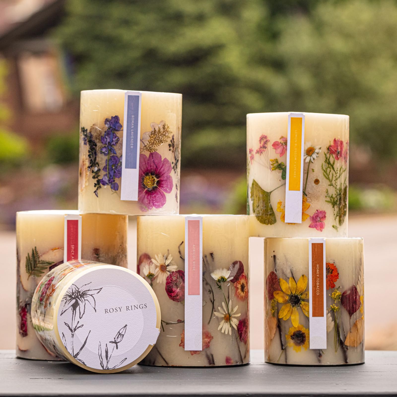 Rosy Rings Medium Round Botanical Candle - Spicy Apple Scent with Cardamom, Cinnamon & Clove | 6.5