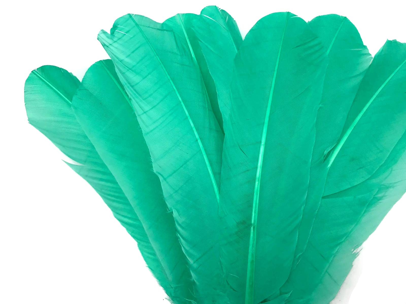 1 Lb. Bulk Aqua Green Turkey Tom Rounds Secondary Wing Quill Feathers for Halloween Crafts, DIY Costumes & Home Decor | Wholesale Craft Supplies by Moonlight Feather