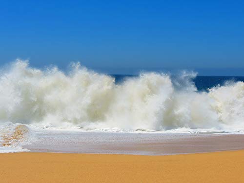 Waves N132