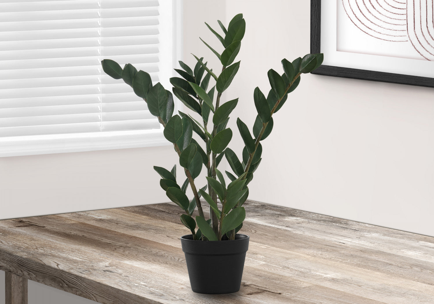 29 Inch ZZ Plant with 6 Inch Black Pot - Low Maintenance Indoor Houseplant for Home, Office, or Garden Decor
