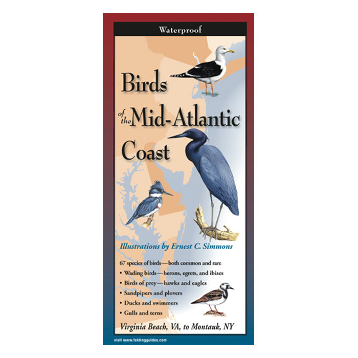 Birds of the Mid Atlantic Coast - Field Guide & Identification Book for Birdwatching, Beach & Coastal Wildlife Observation