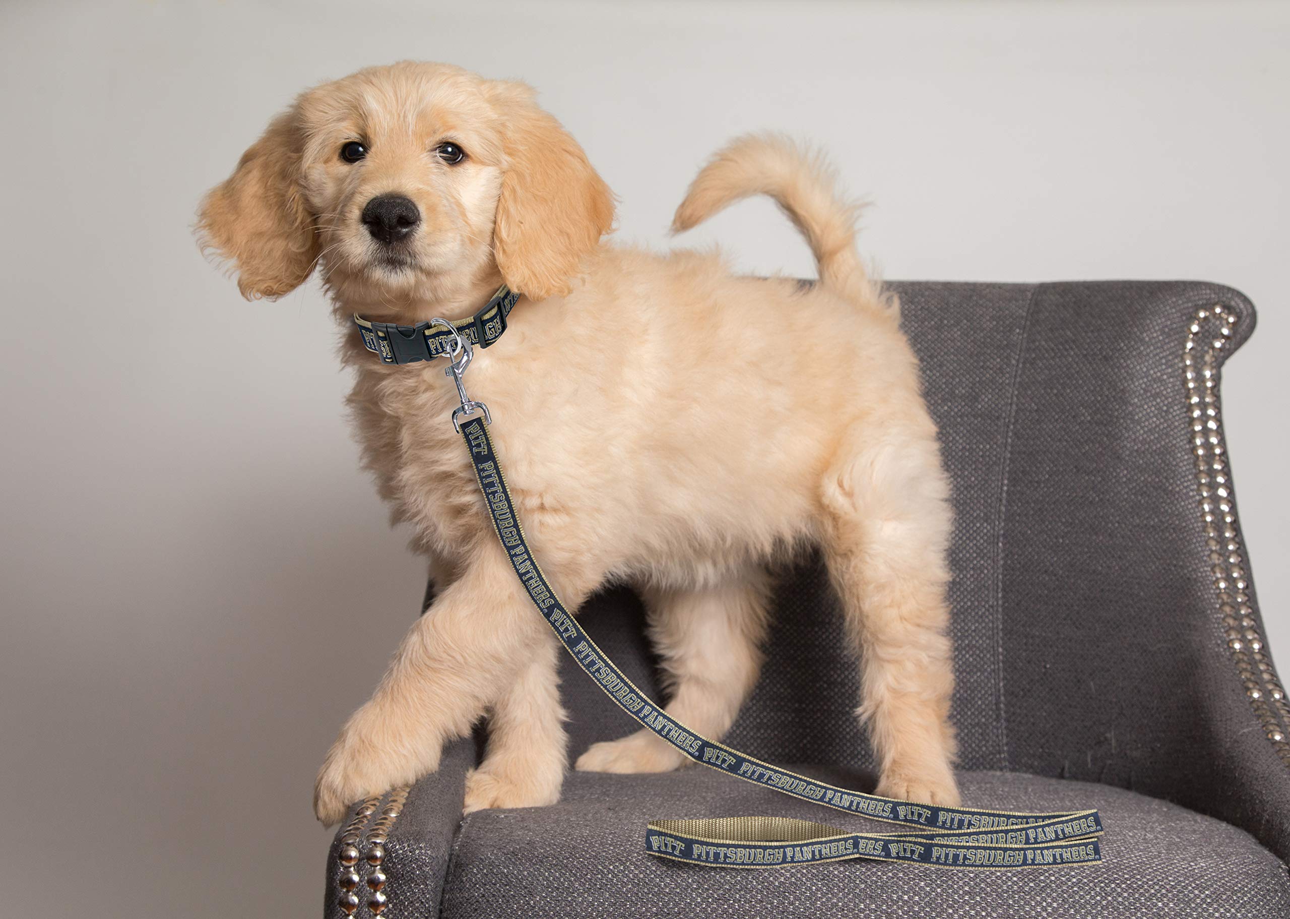 NCAA Licensed Pittsburgh Panthers Pet Leash - Small, Shiny & Colorful Dog Leash for Small Dogs & Cats - Perfect for Walks, Training & Game Day Outfits