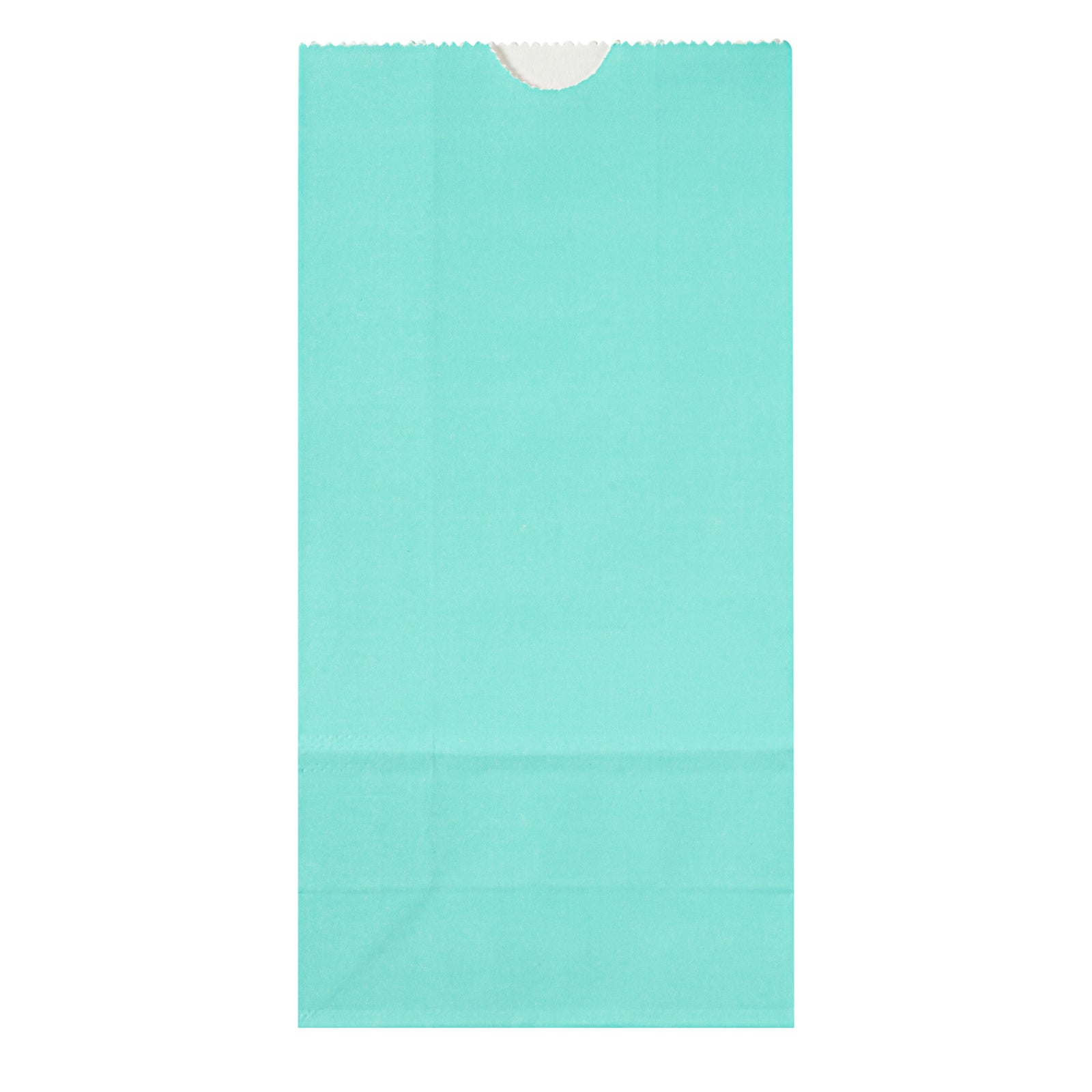 Premium Turquoise Paper Bags - 2 lb Capacity, 4.25