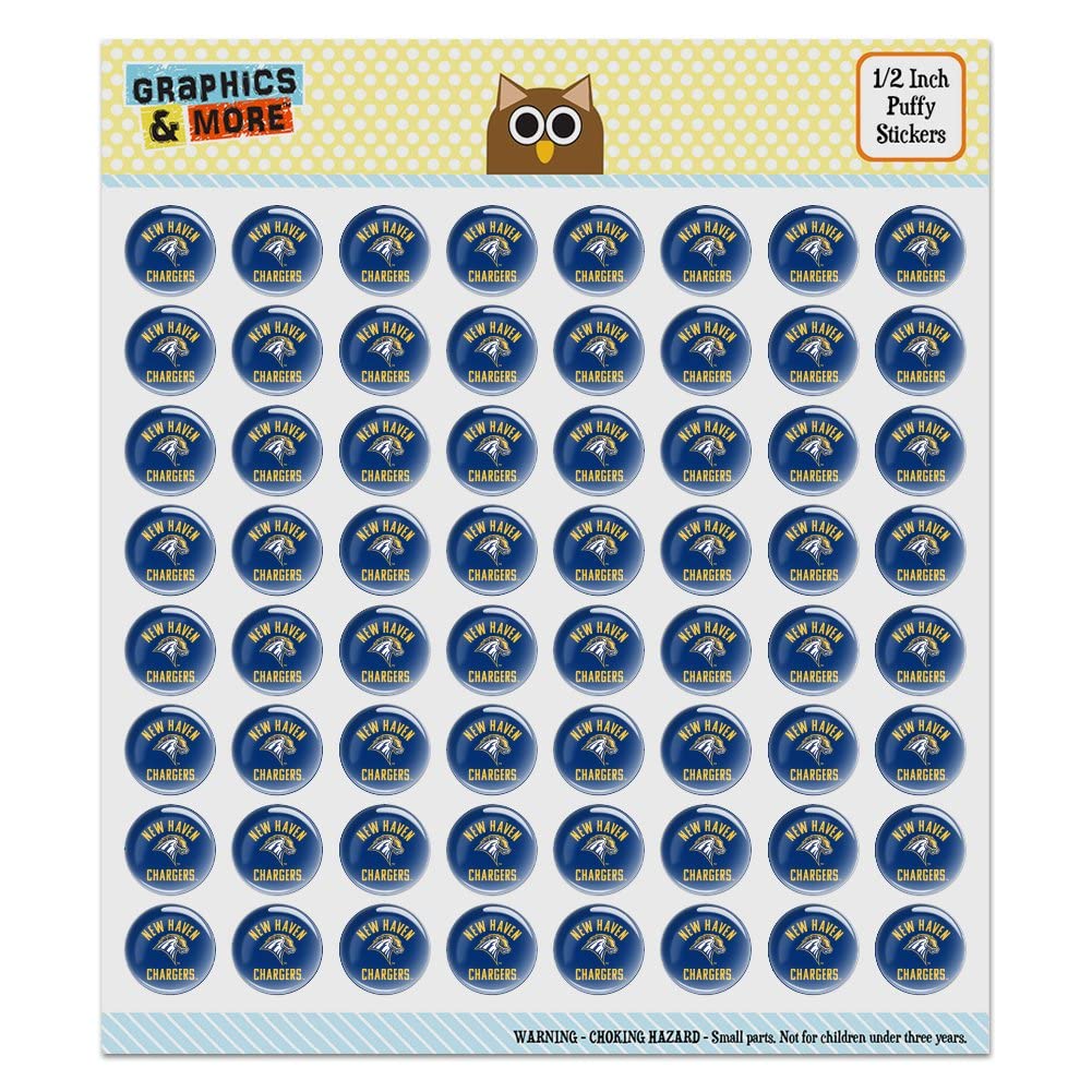 New Haven Charger Puffy Bubble Dome Scrapbooking Stickers - DIY Craft Decorative Stickers for Journals, Cards, Albums & Scrapbook Projects - Perfect for Scrapbooking, Card Making, and DIY Home Decor