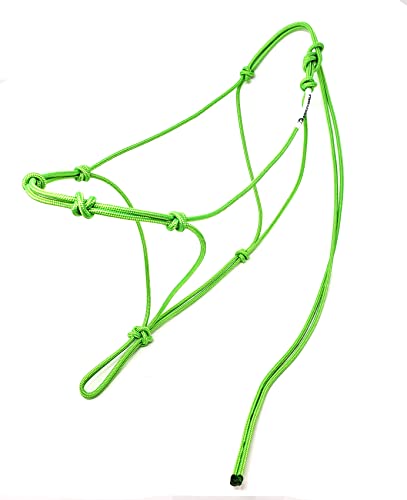 Neon Green