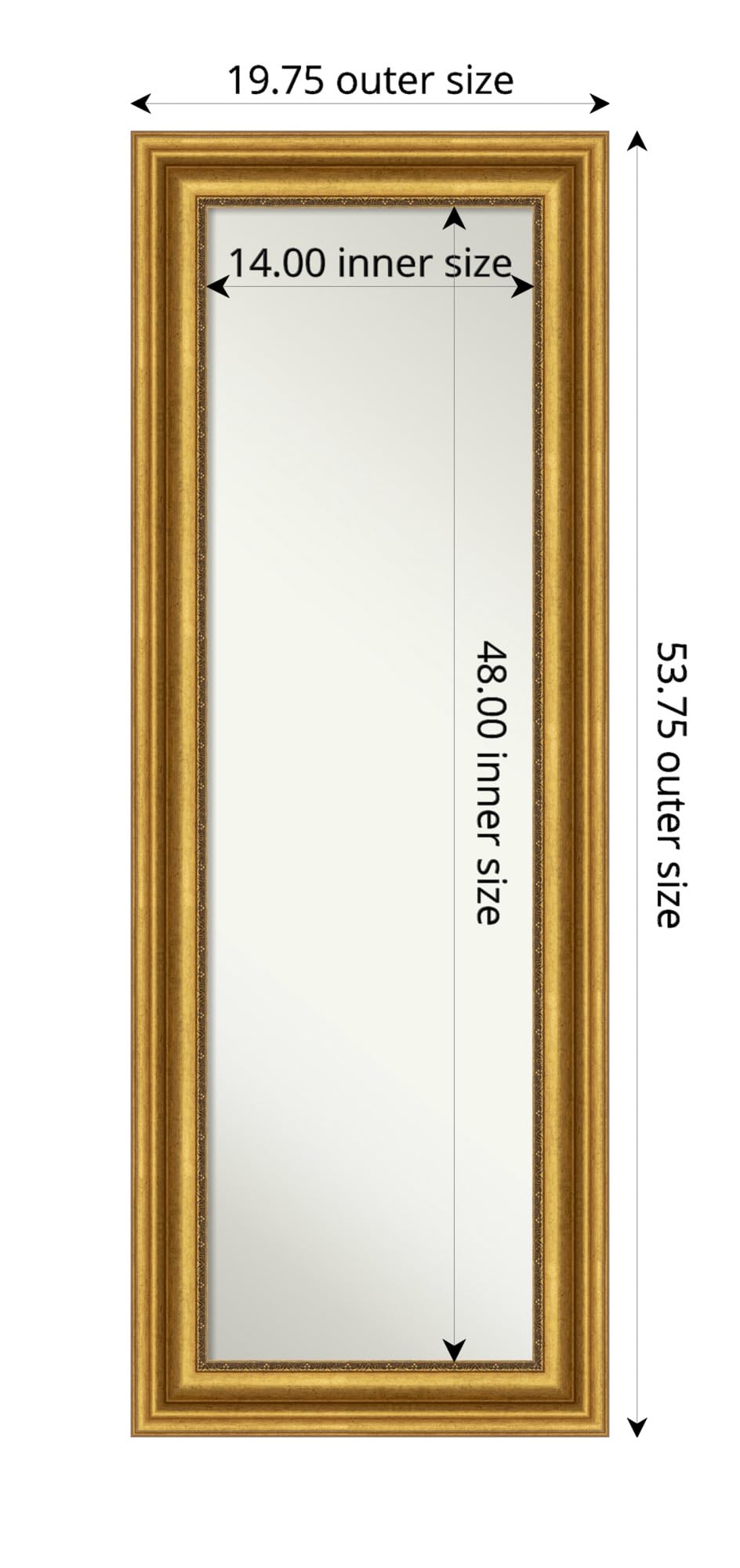 Amanti Art 54x20 Inch Gold Full Length Mirror - Traditional Framed Wall Mirror for Doors & Closets with Hidden Brackets | Elegant Bedroom Decor, Parlor & Dressing Room Essential | Made in USA