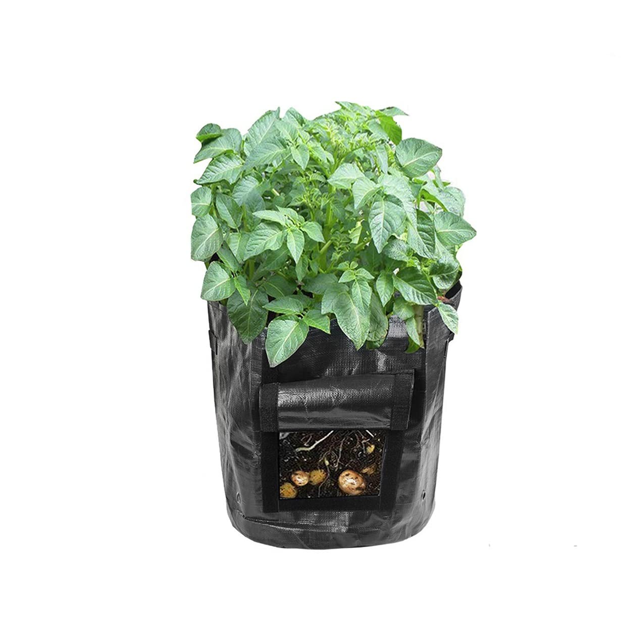 ZLDGYG 3 Gallon (25x22CM) Plant Grow Bags for Home Garden - Potato Pot, Greenhouse Vegetable Growing Bags with Moisturizing Feature | Perfect for Vertical Gardening, Seedling Cultivation & Indoor/Outdoor Planting
