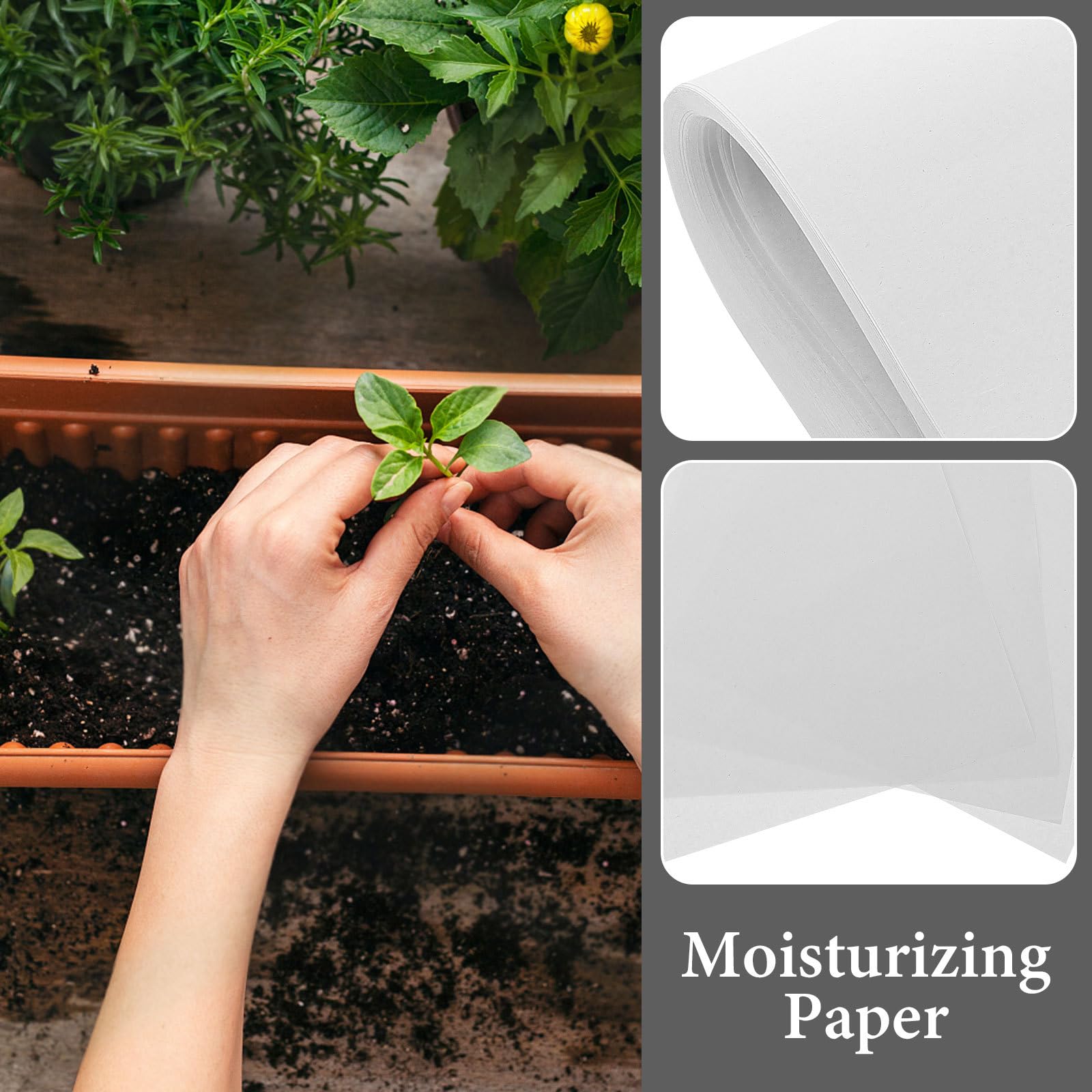 Hemoton 100 Pcs Seed Sprouter Paper - Organic Germination Growing Paper for Vegetables, Herbs & Microgreens | 18x26cm Plant Starter Tray for Hydroponic Gardening, Indoor Farming & Home Garden Seed Starting