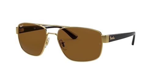 Gold/Polarized B-15 Brown