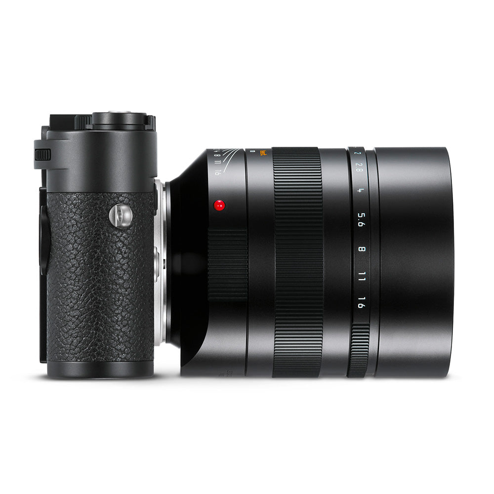 Leica Noctilux-M 75mm f/1.25 ASPH Lens for M-Mount Cameras - Premium Portrait & Low Light Photography - Perfect for Professional Photographers, Wedding & Nighttime Shooting