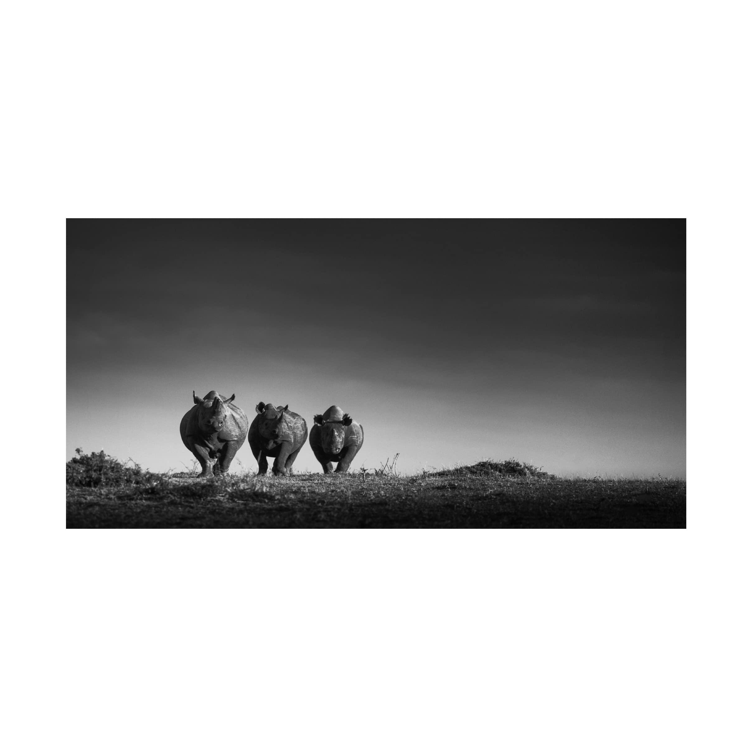 Trademark Fine Art 'Power' Canvas Wall Art by Mohammed Alnaser - Modern Home Decor for Living Room, Office & Bedroom