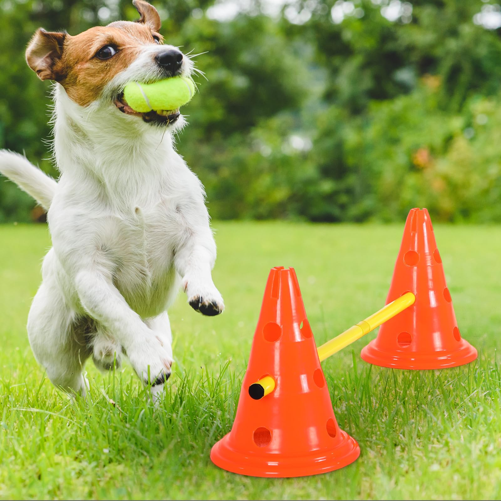 Premium Dog Agility Training Set - 12 Cones & 6 Adjustable Rods for Backyard Obstacle Courses | Durable Outdoor Pet Exercise Equipment (Orange & Yellow) | Perfect for Dog Training, Agility Competitions & Backyard Play