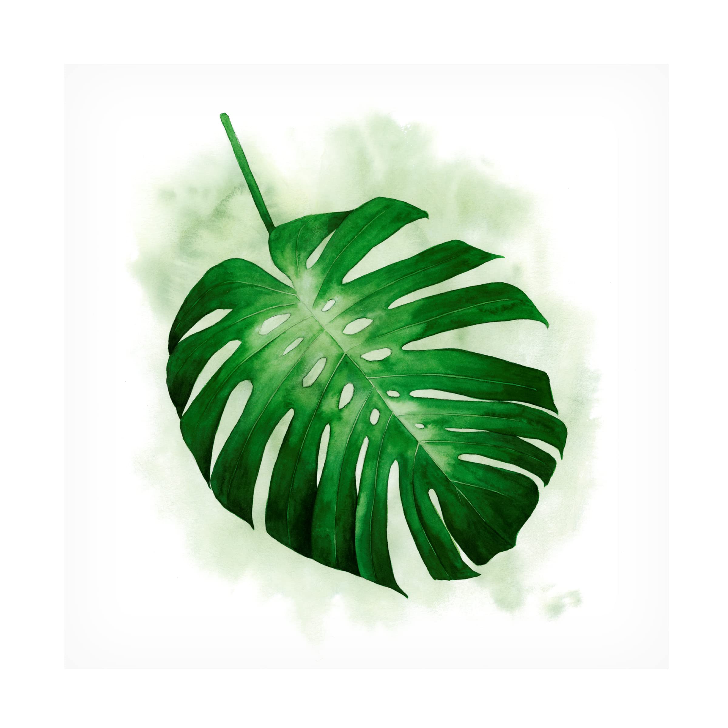 Grace Popp 'Palm Wash I' Canvas Wall Art Print - Modern Abstract Painting for Living Room, Bedroom & Office Decor