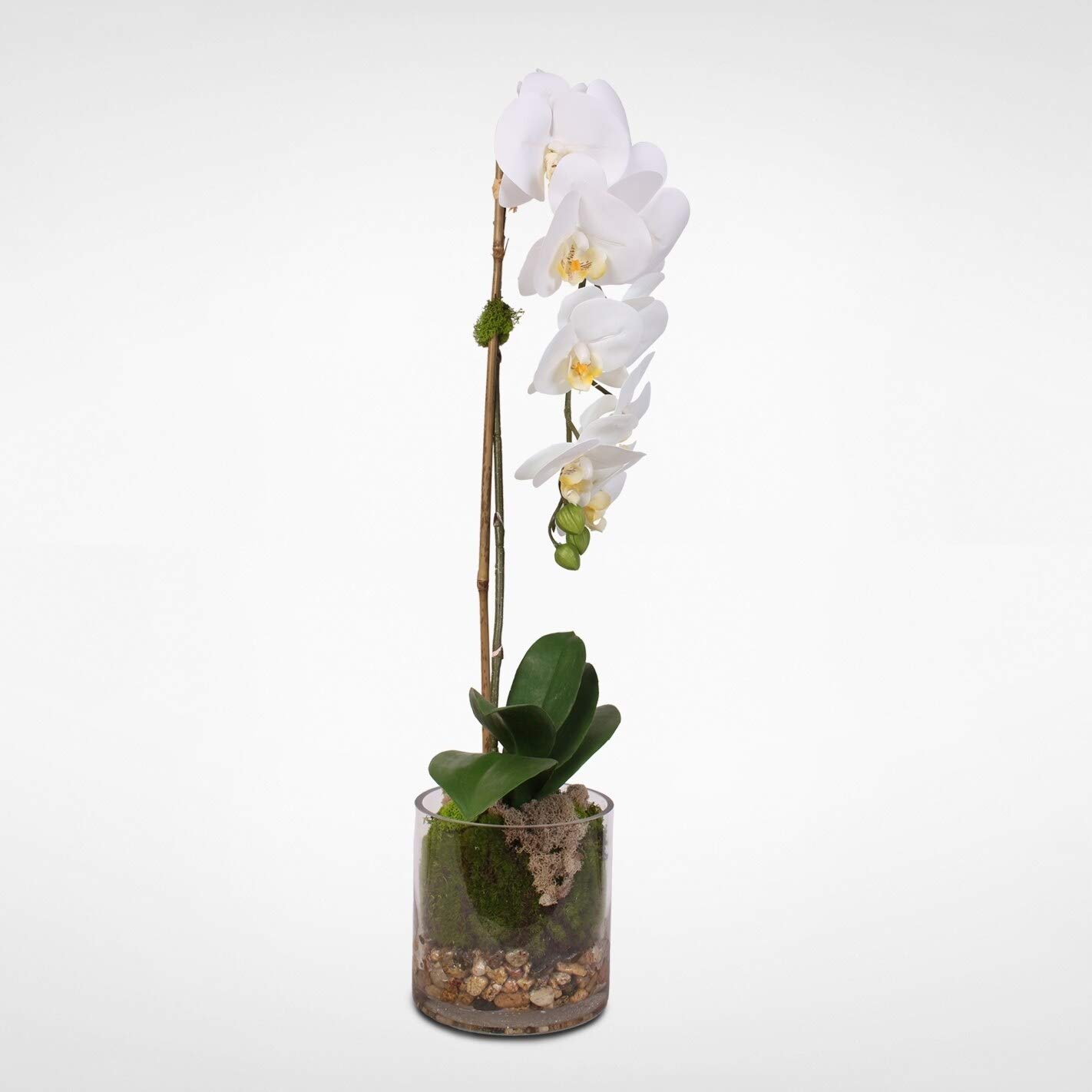 Premium Real Touch White Phalaenopsis Orchid in Glass Vase - Lifelike Artificial Flower Arrangement for Home Decor, Wedding Centerpieces & Office Elegance