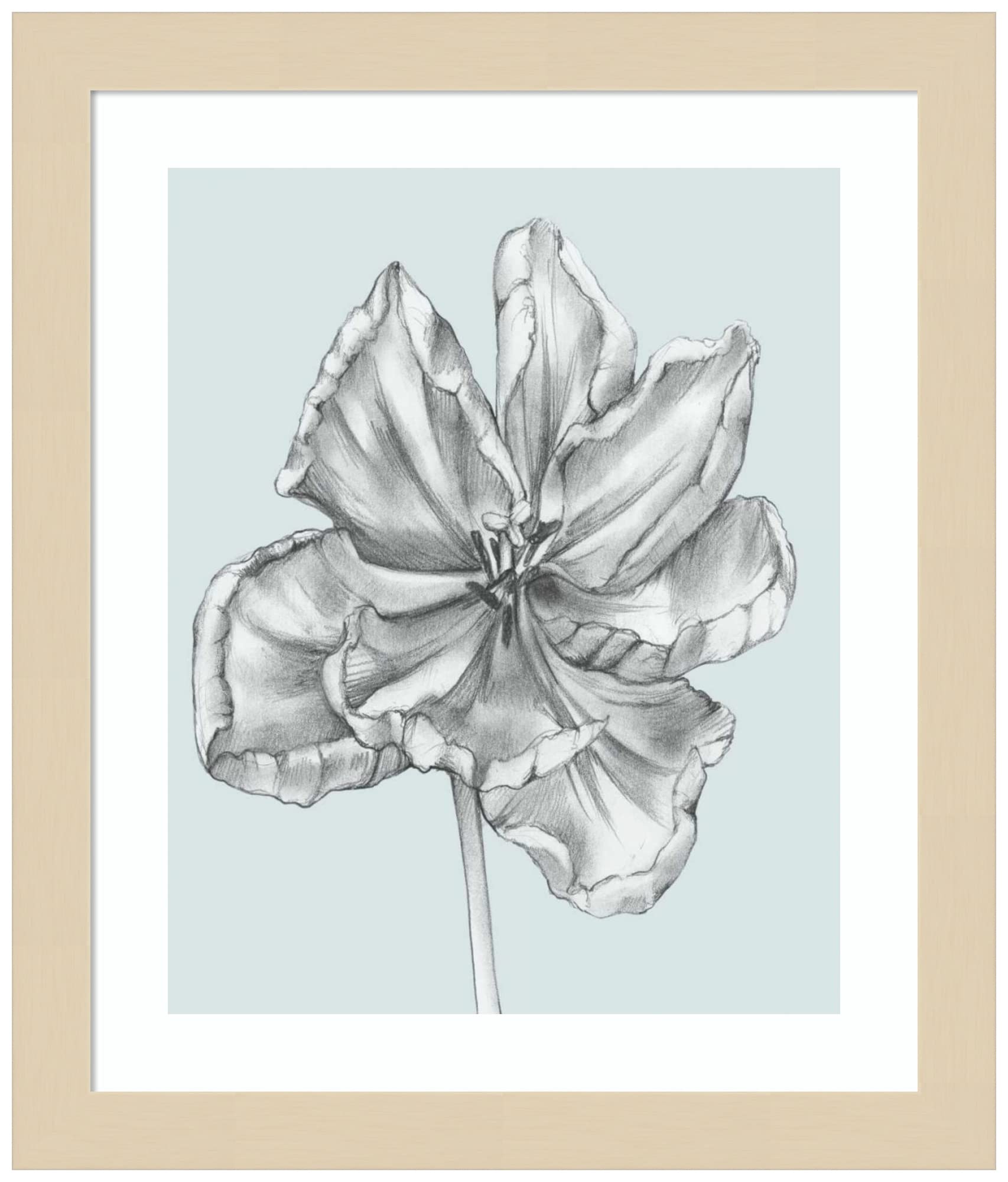 Jennifer Goldberger Silvery Blue Tulips IV - 11x13 Inch Wood Framed Wall Art Print with Svelte Natural Frame | Floral Home Decor for Living Room, Bedroom & Office