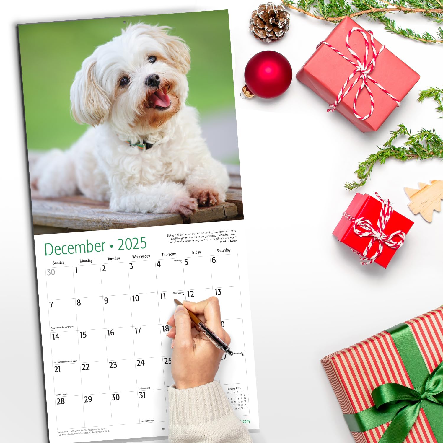 RED EMBER Dog-Gone Happy 2025 Wall Calendar - 12 Month Large 12x24 Inch with Thick Sturdy Paper - Perfect Gift for Dog Lovers - Home, Office & Classroom Decor