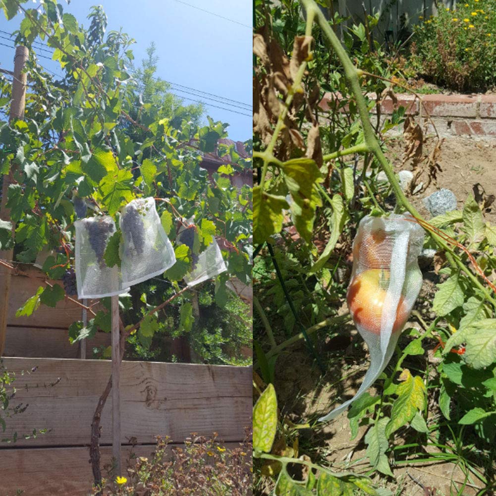 DEARLIVES 100 Pack Reusable Fruit Protection Bags for Trees - 10x6 Inch Nylon Mesh Drawstring Garden Netting Covers for Apples, Pears, Peaches, Vegetables & Plants | Pest Control & Sun Protection for Home Orchard & Backyard Gardening