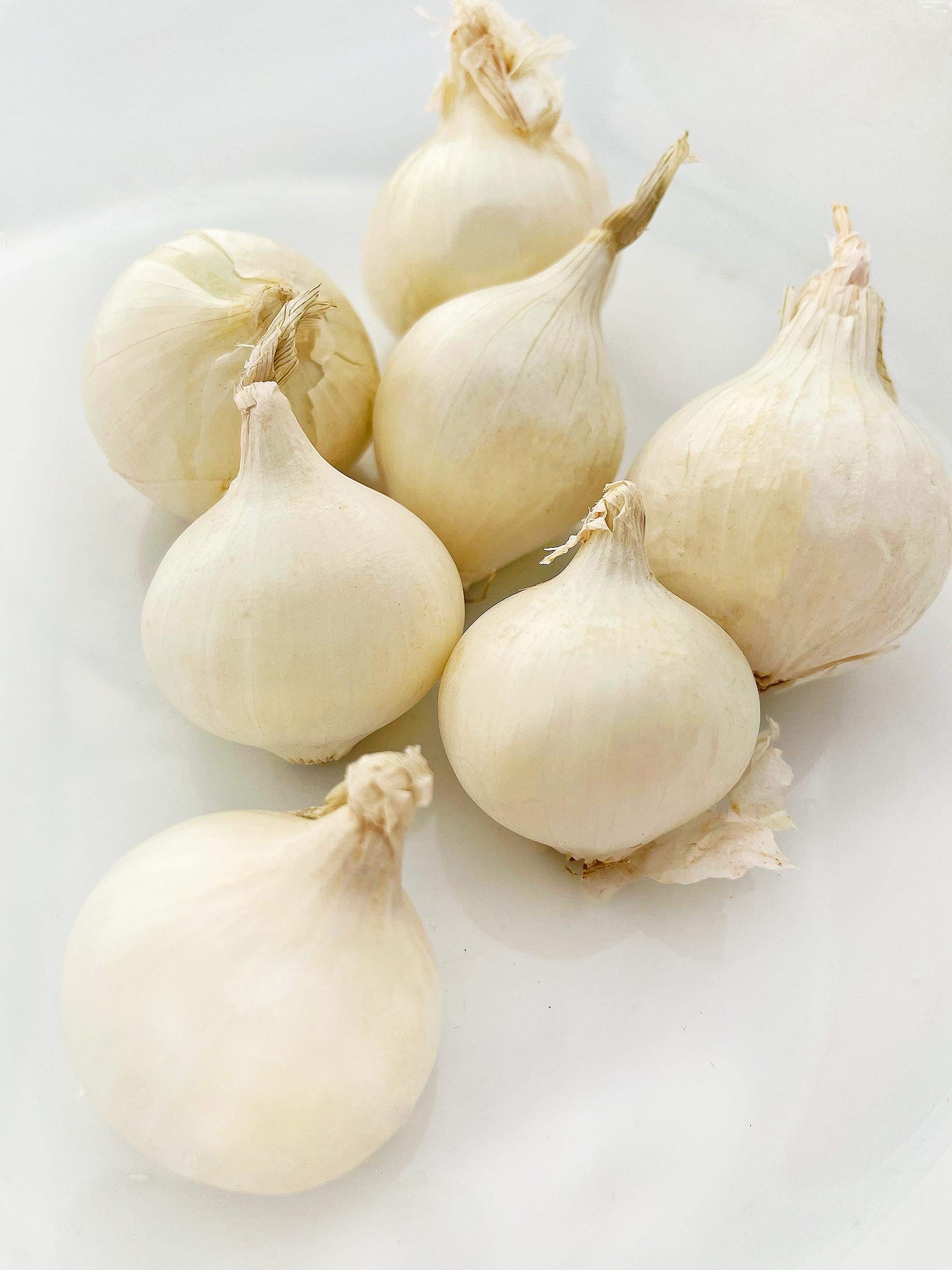Fresh Kejora Boiler Onions (4 LB) - Perfect for Soups, Stews, and Pickling - Premium Cooking Onions for Home Chefs