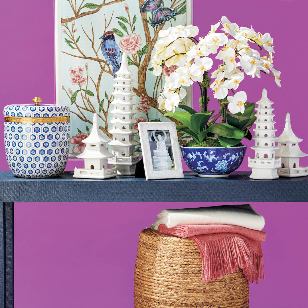 Premium Phalaenopsis Orchid Plants - Elegant & Long-Lasting Indoor Flowers for Home Decor, Office, and Gifts