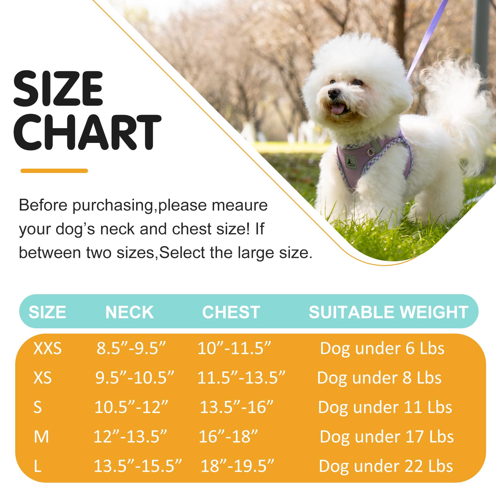 No Pull Dog Harness and Leash Set - Soft Breathable Adjustable Pet Vest for Small Dogs, Puppies & Cats - Reflective Step-in Design for Safe Night Walking - Perfect for Daily Walks, Jogging & Outdoor Adventures