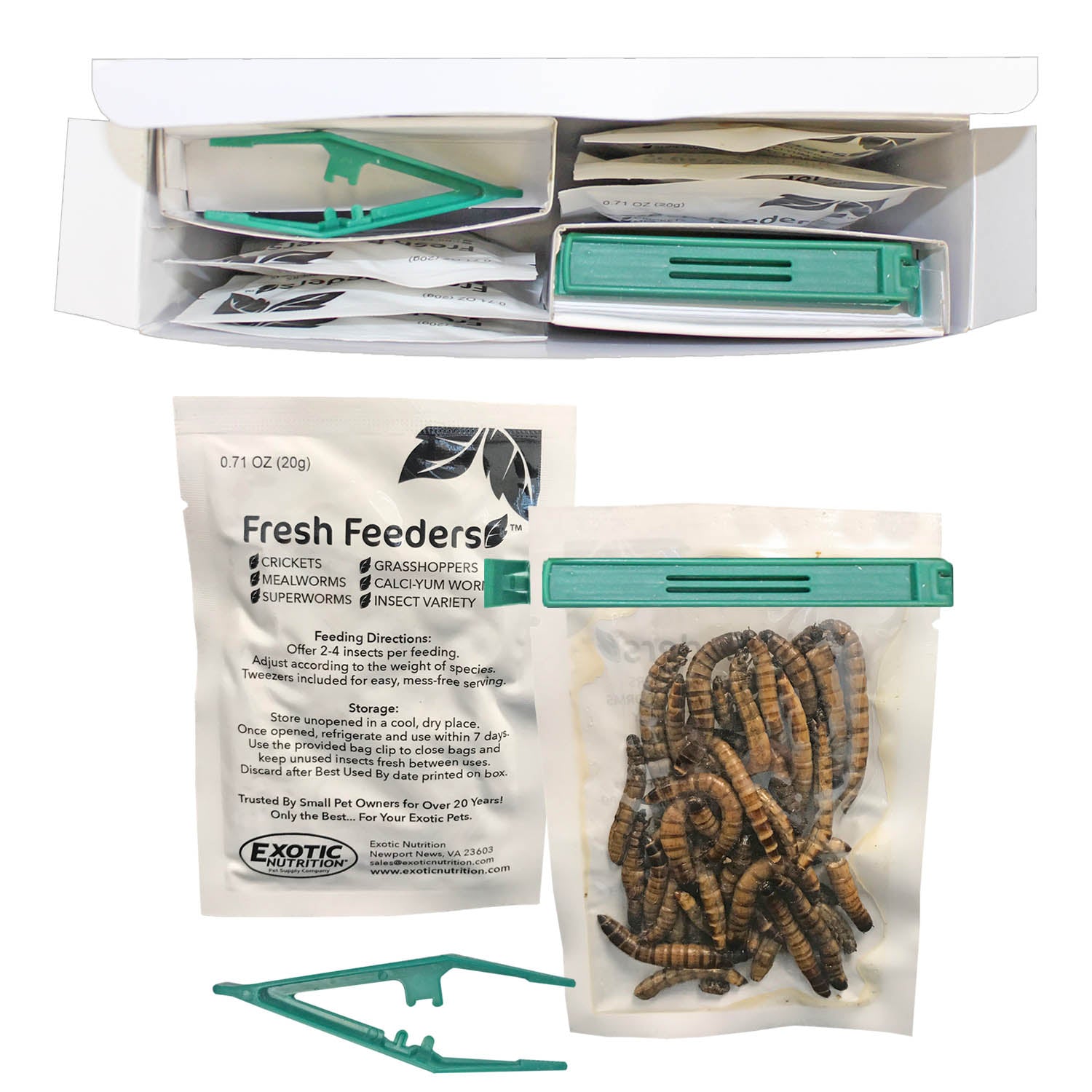 Fresh Feeders for Reptiles & Amphibians - Live Crickets, Worms & Insects - Perfect for Pet Lizards, Frogs & Turtles - High Protein Food for Healthy Growth & Nutrition