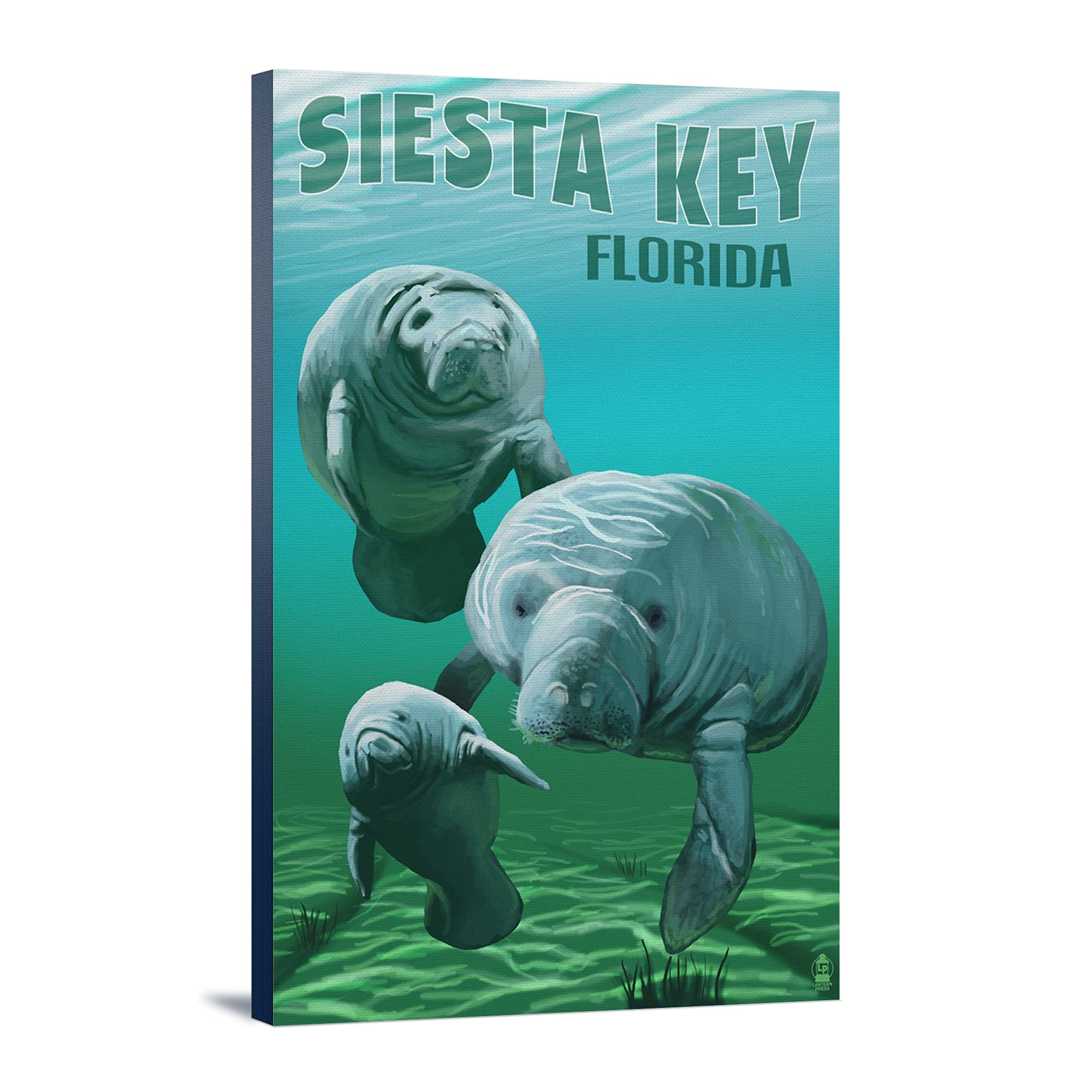Lantern Press Siesta Key Florida Manatees Wall Art - 16x24 Wrapped Canvas Print, Coastal Home Decor, Wildlife Painting for Living Room, Bedroom & Office